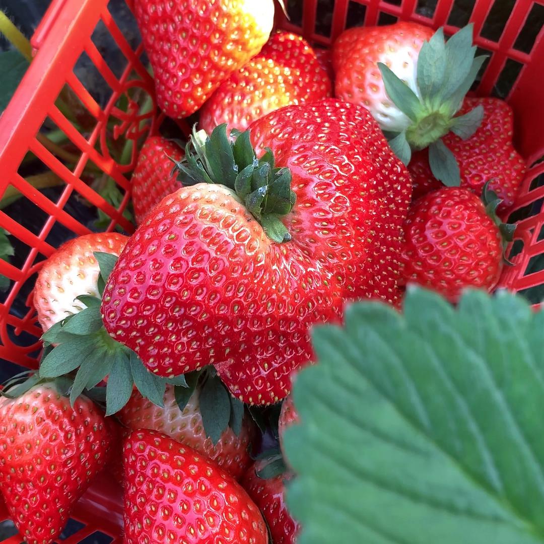 The world of mortals