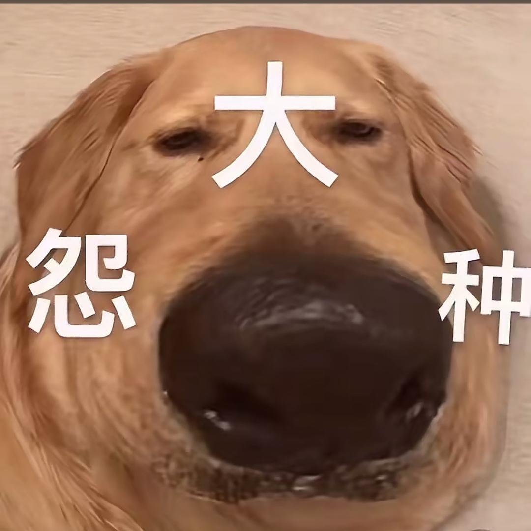 钱刷没了，媳妇也跑了，心情越来越好了