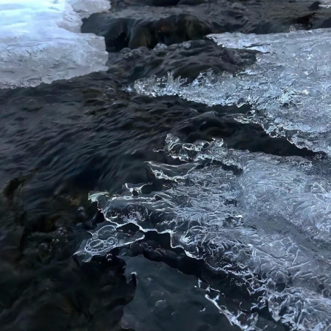 泡了个芙