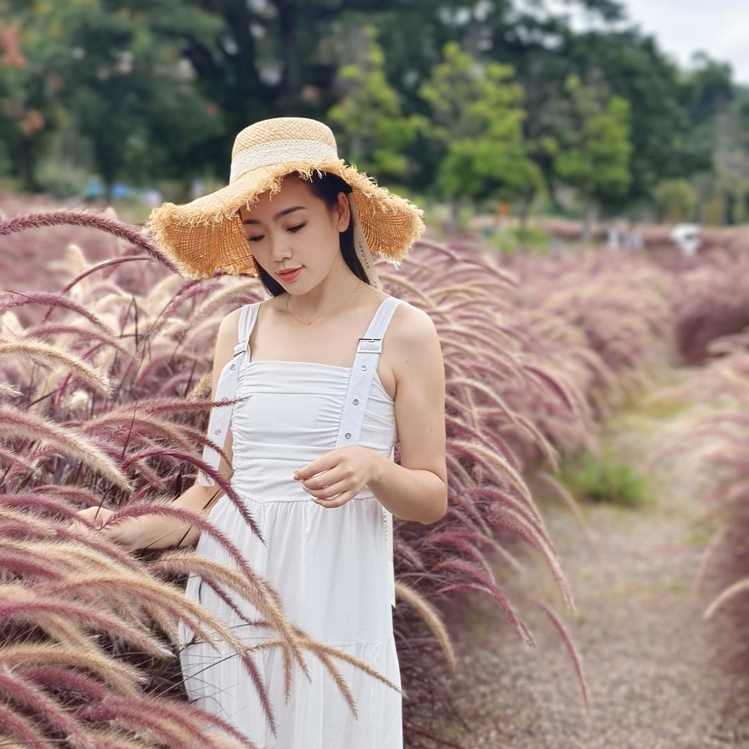 章鱼小丸子