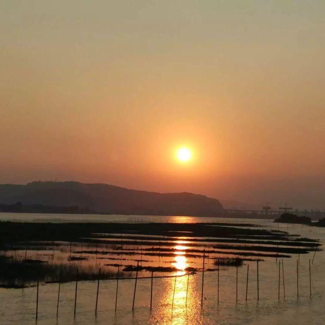 @林君微
