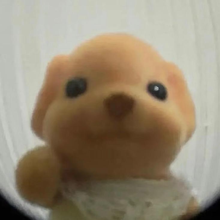 豌豆日记