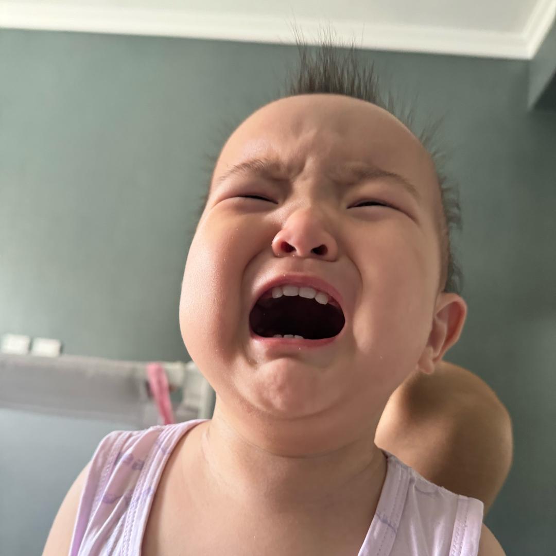 反骨的奶嘟同志