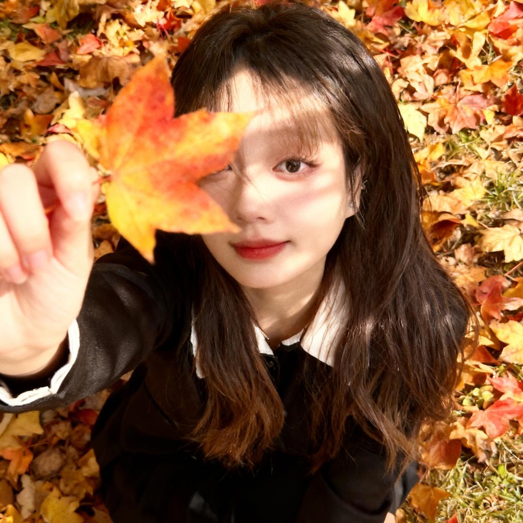 封心锁爱