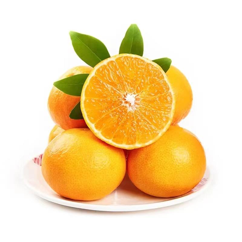 蜀乐果业供应链-爱媛、耙耙柑一件代发