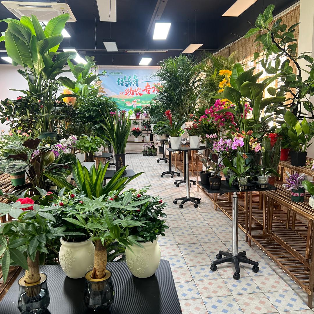 白云供销优选1店