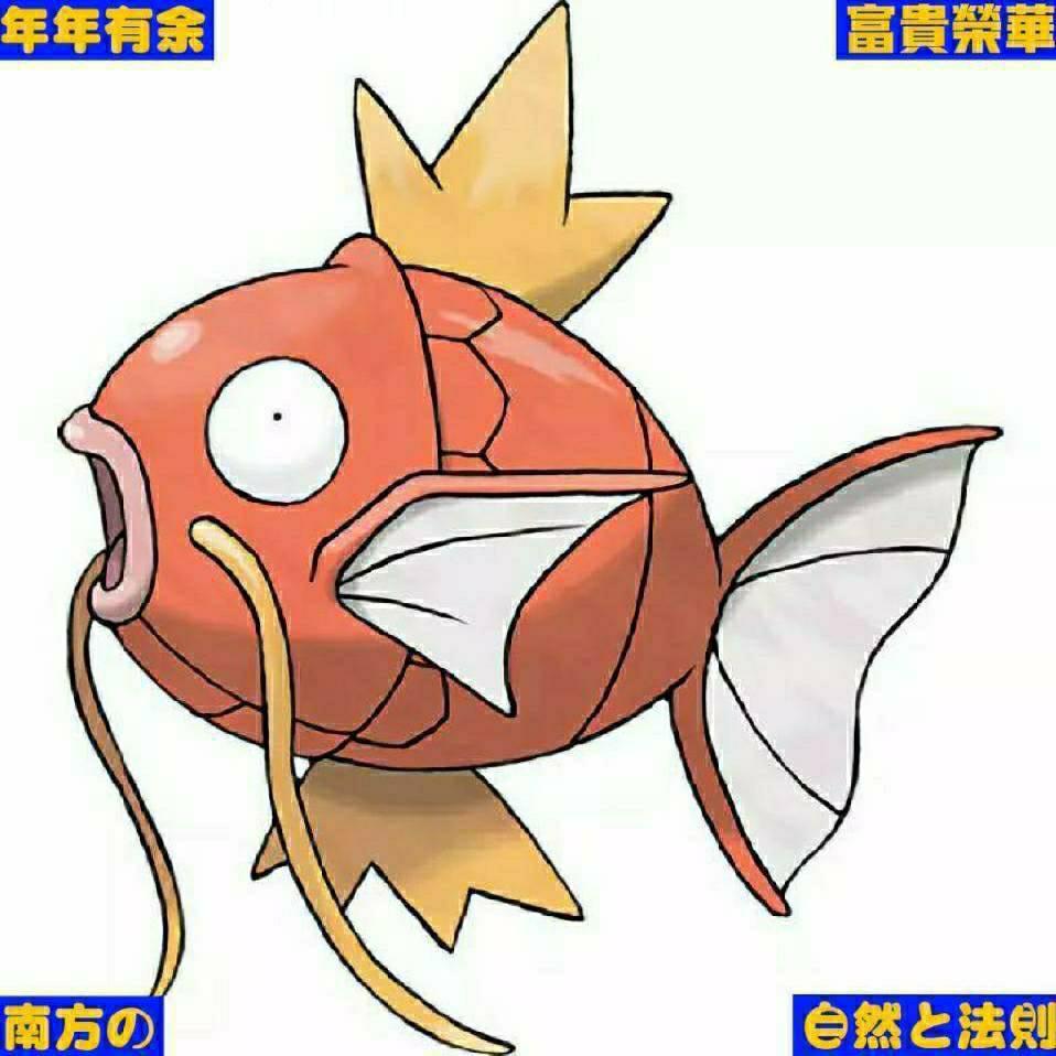 律帝