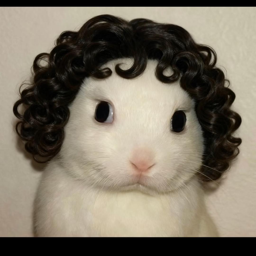 MEG-