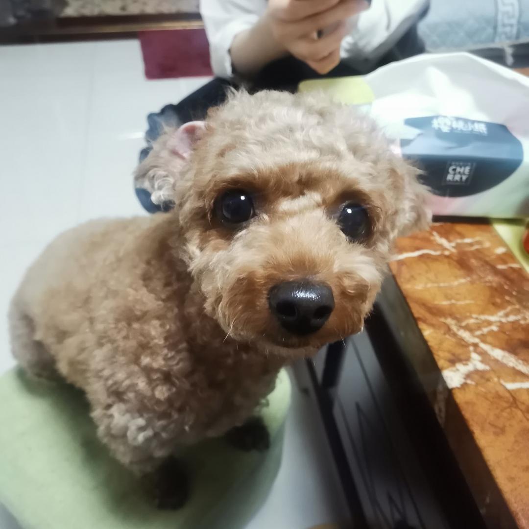 万鲸服饰工作室