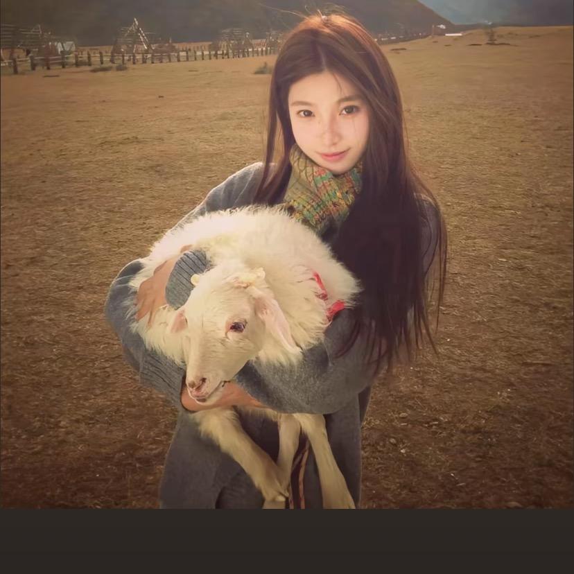 小香