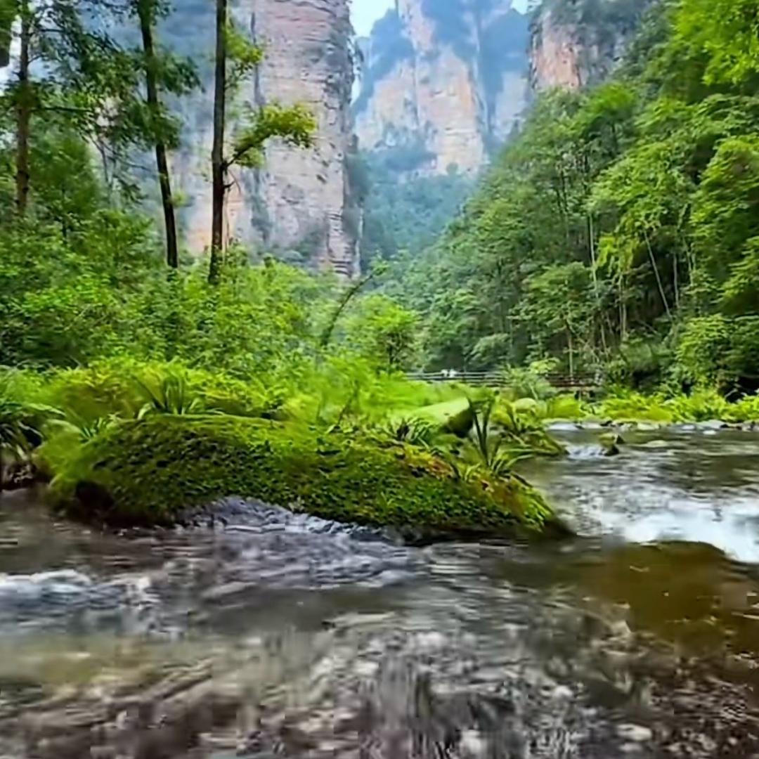 💕风雨🌿 人间🎋🌱