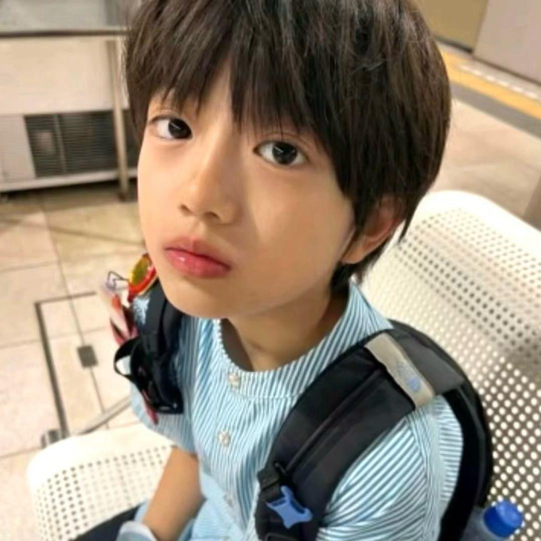 成为蚊子的敌人