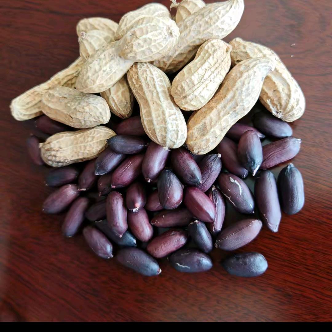 墨美人富硒黑花生