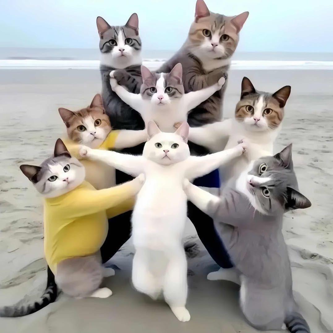 小新