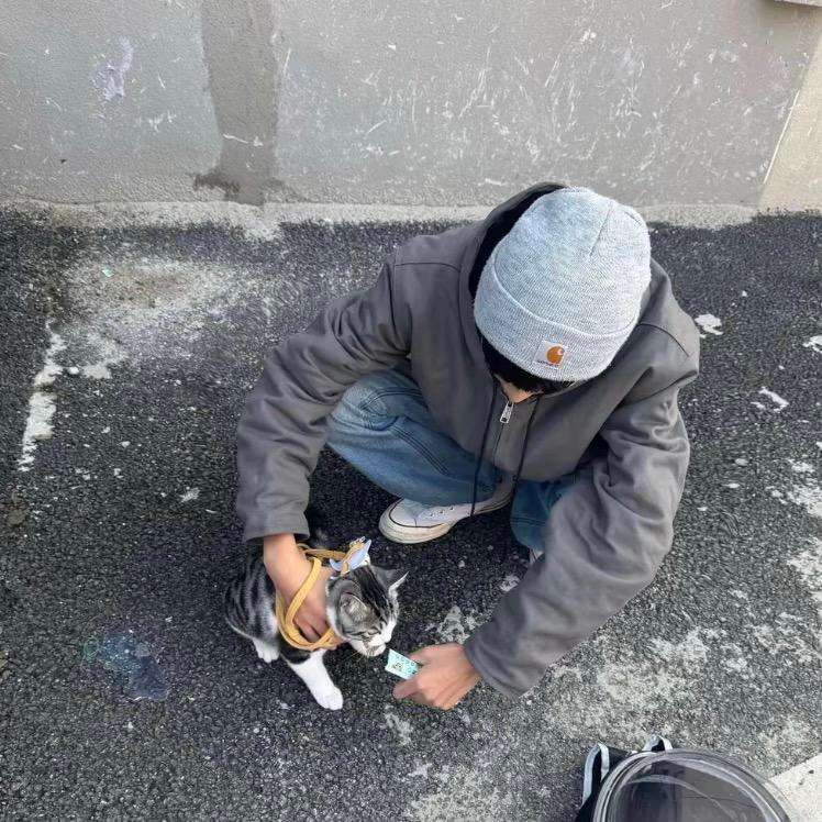 ͏͏͏͏