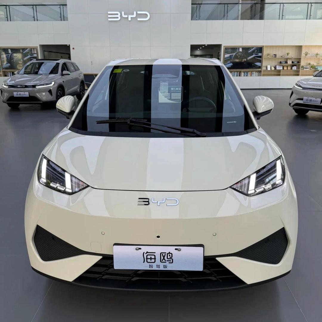 比亚迪-小海鸥（新车情报）