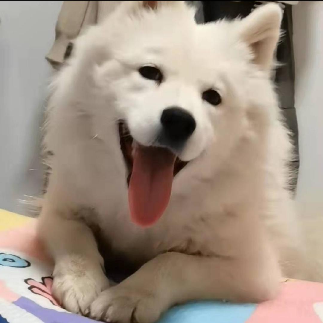 大磊很饿