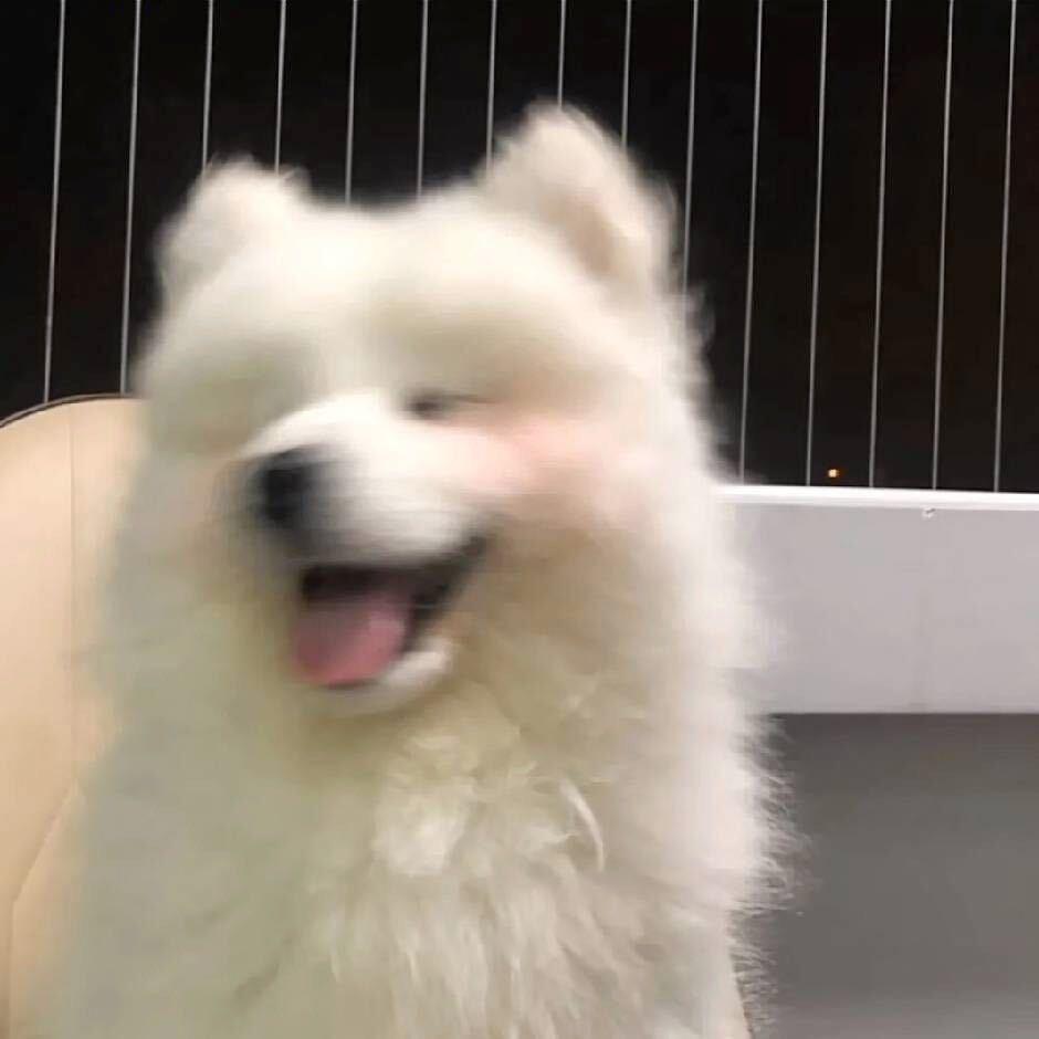 旭小旭