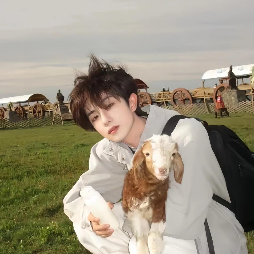 隐形的鸡翅膀（无人在意版）