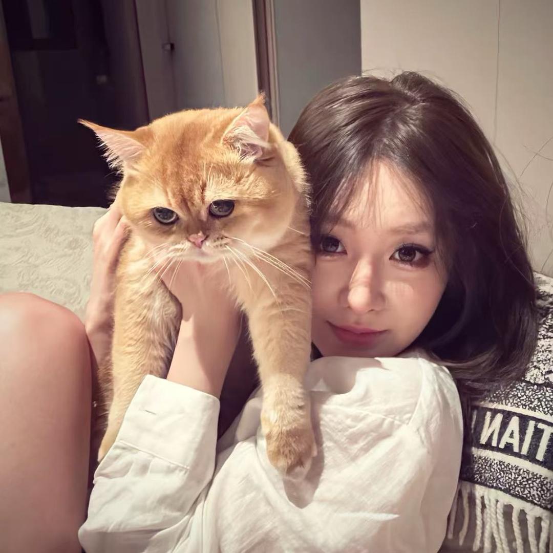 不吃韭菜