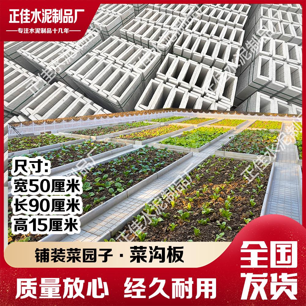 菜沟板厂&共享菜园