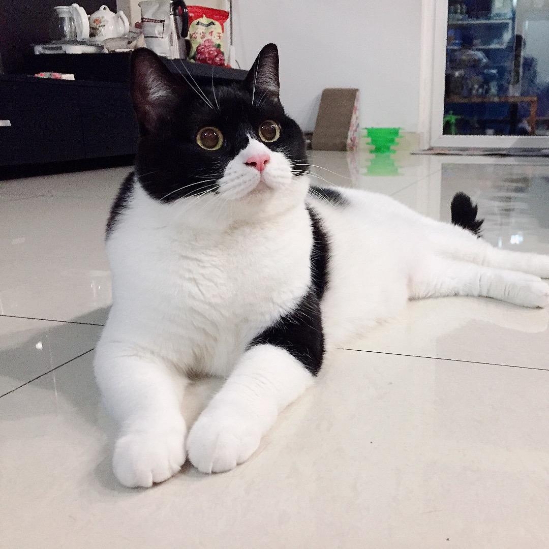 简晓喵