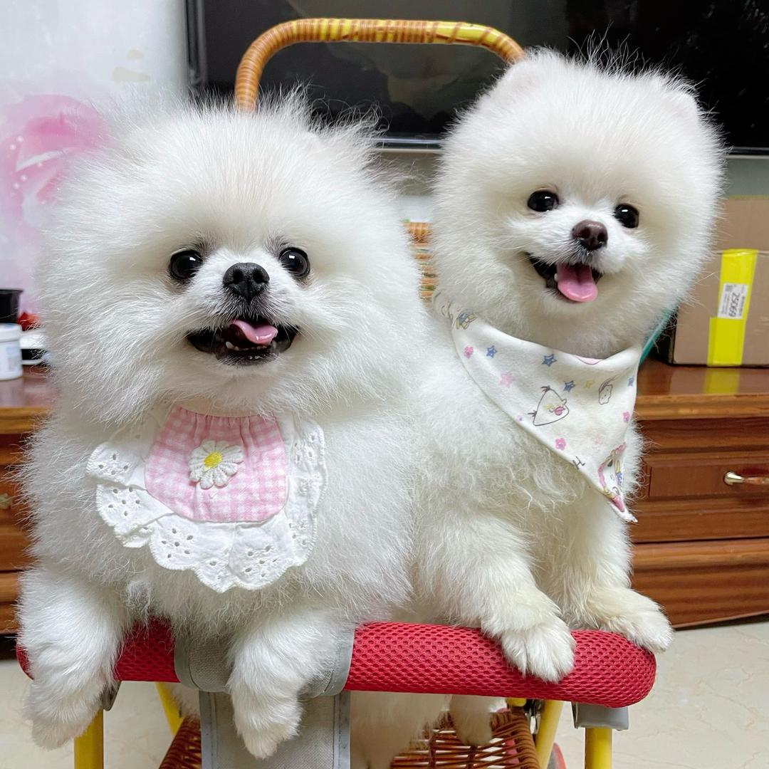 옹怑仙
