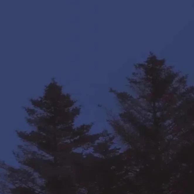 Fuu_