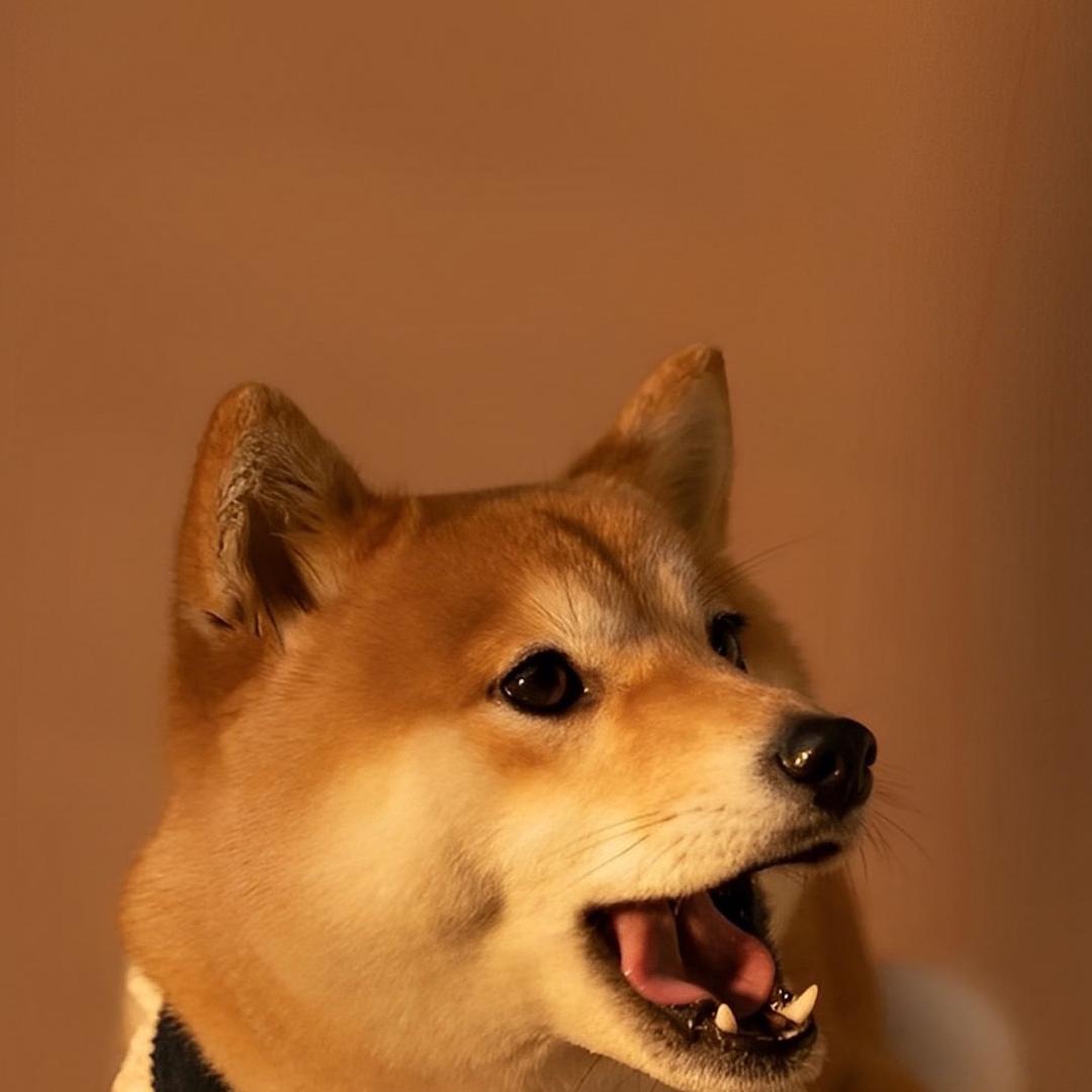 彭澎