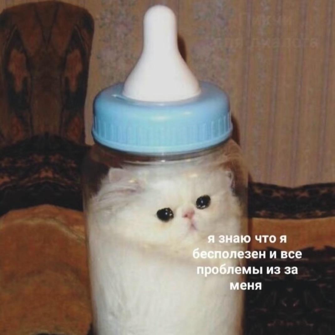 ICITY日记🍼