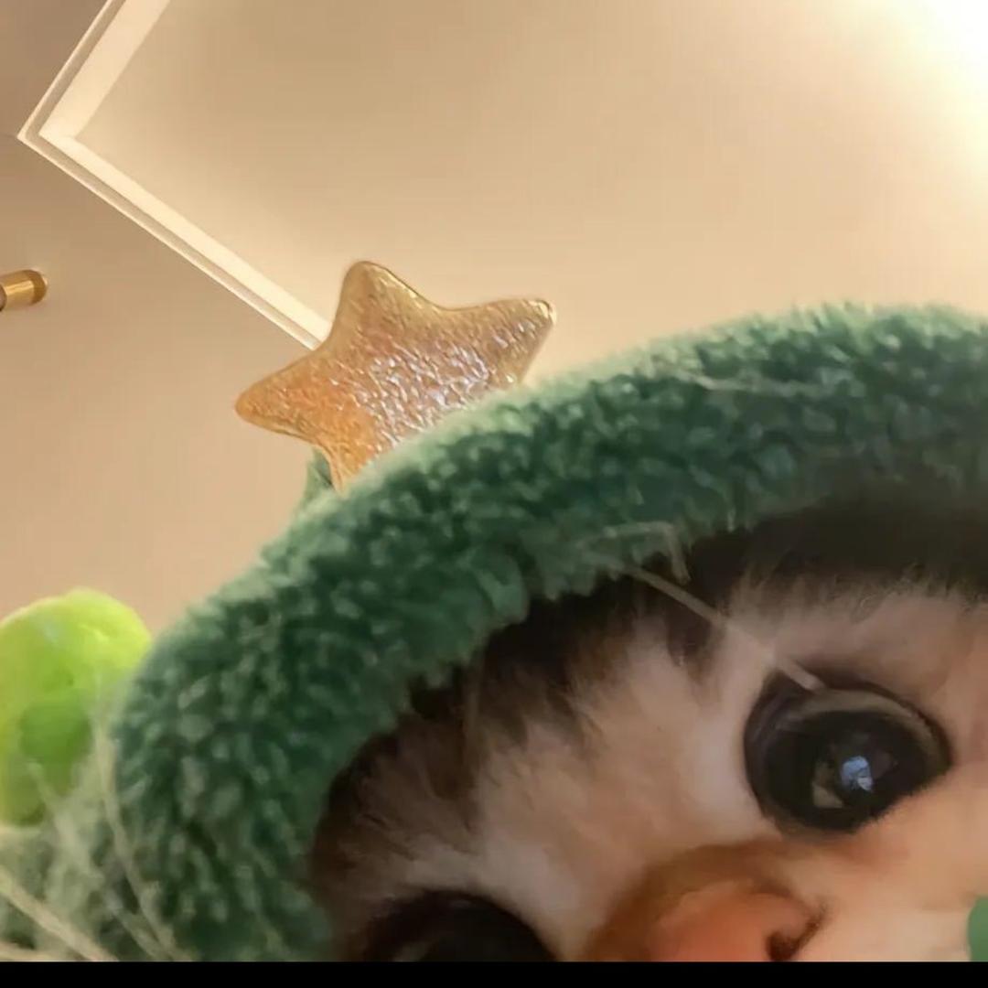 子涵