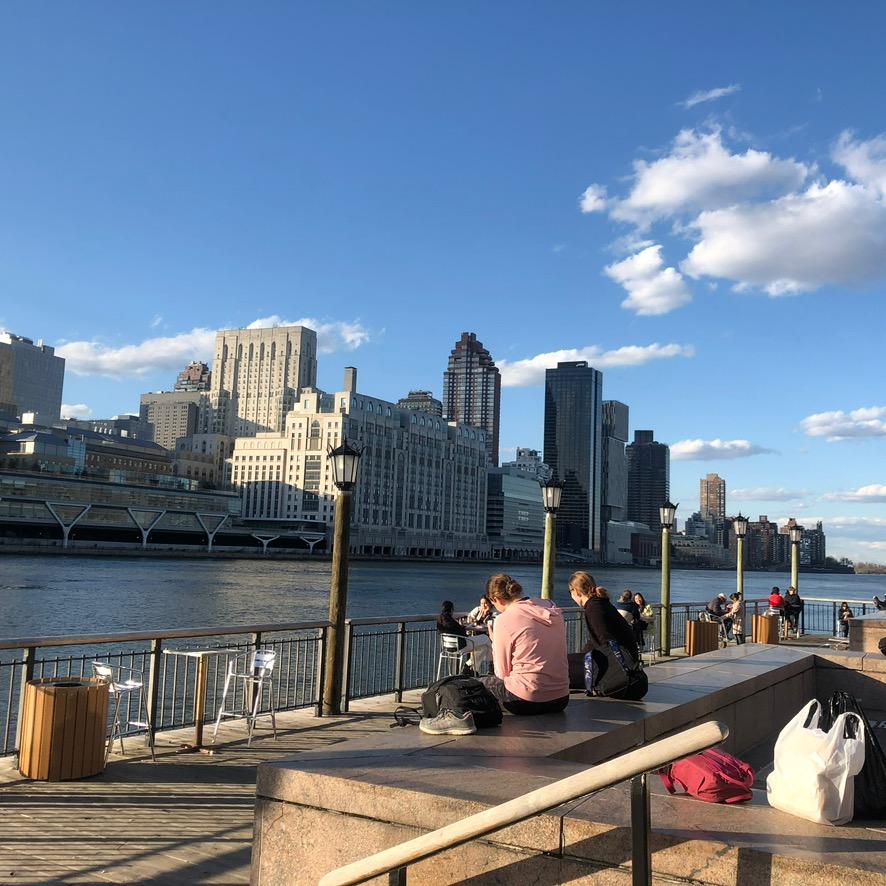 小E在美国🇺🇸