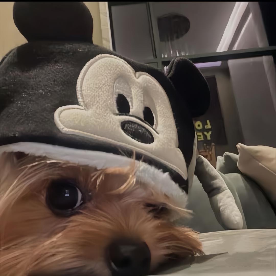 快乐小修狗