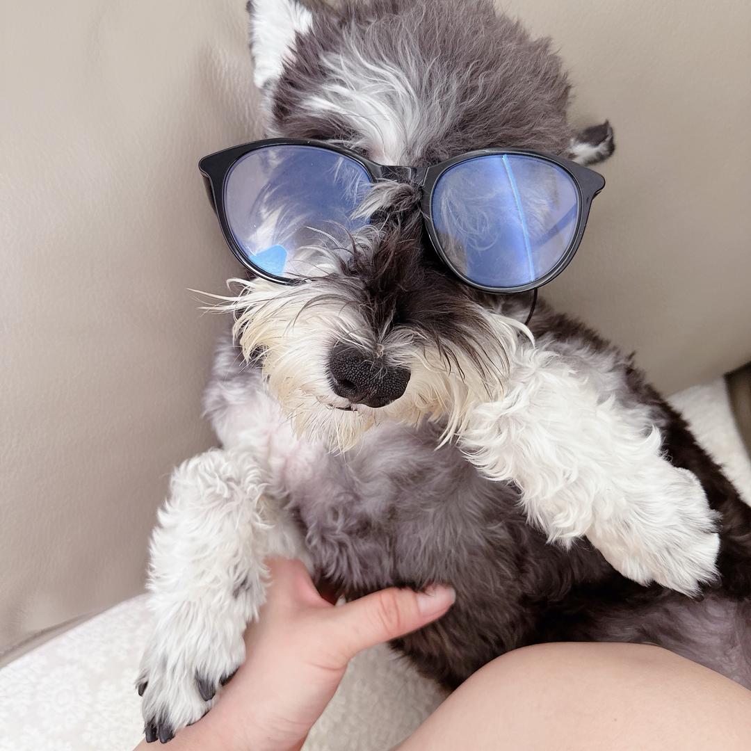 沅又圆