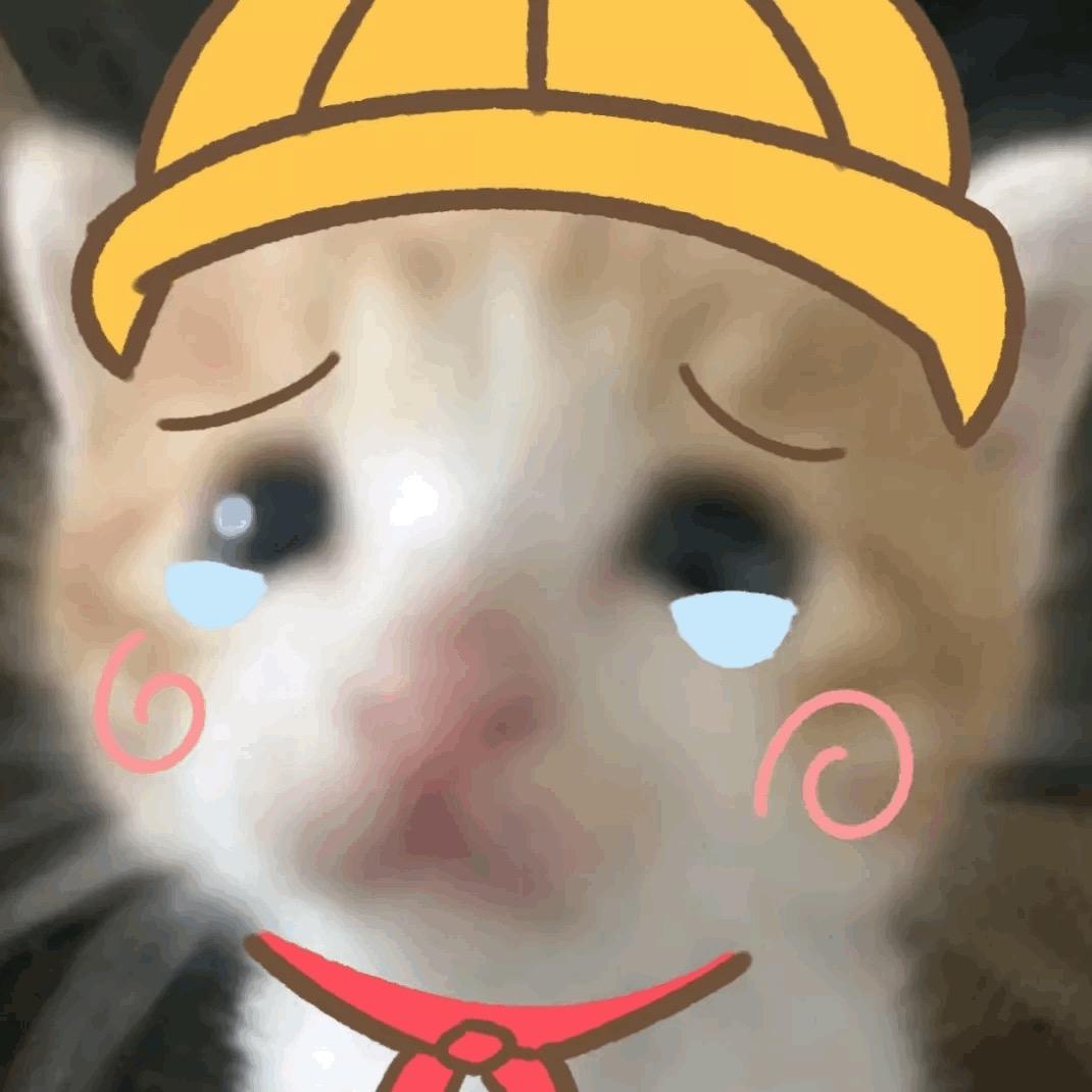 咪