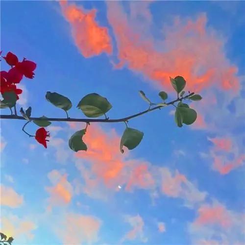 混，也是一种生活