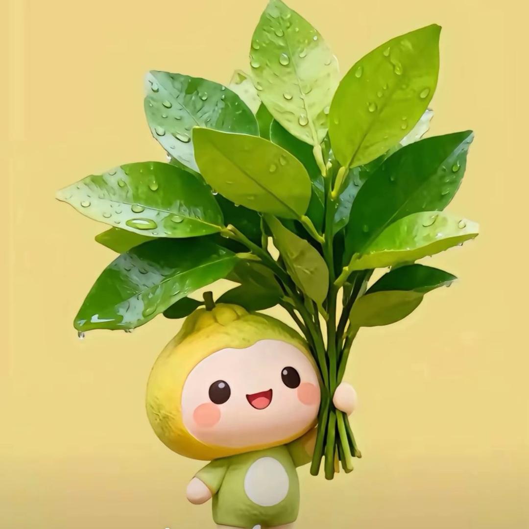 天天有钱“花”女士