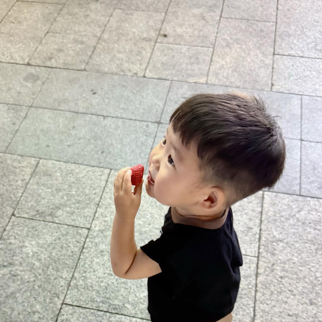 齐齐崽🐰