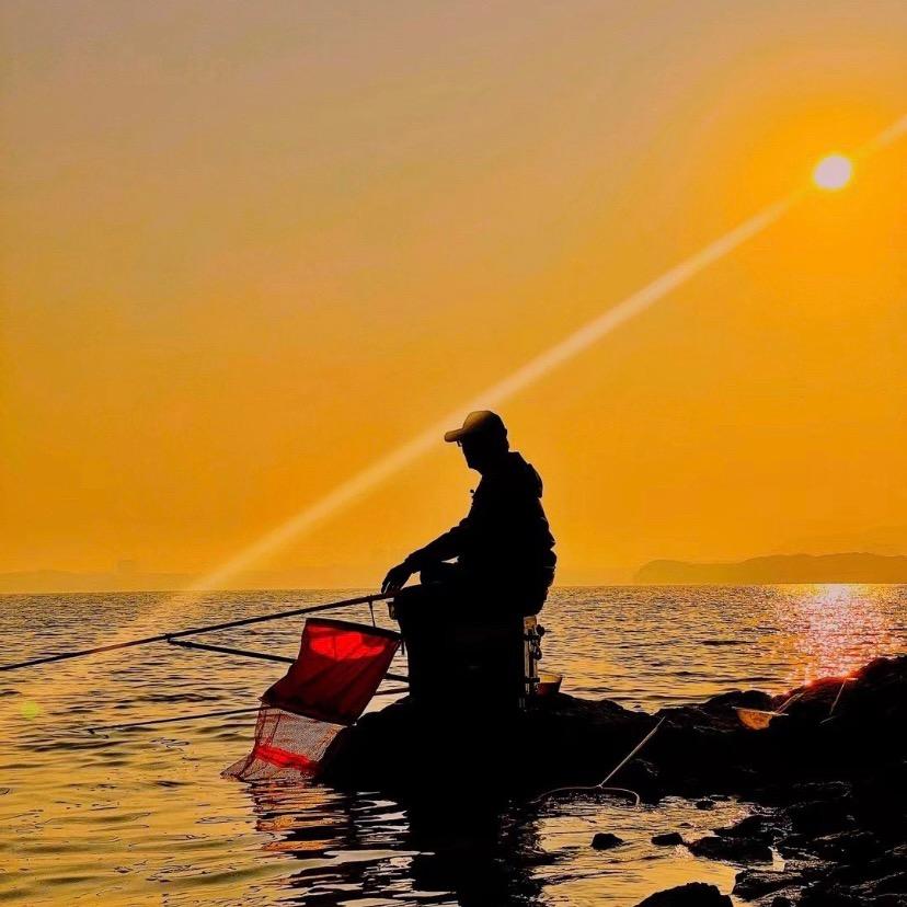 帅气遁地小仓鼠