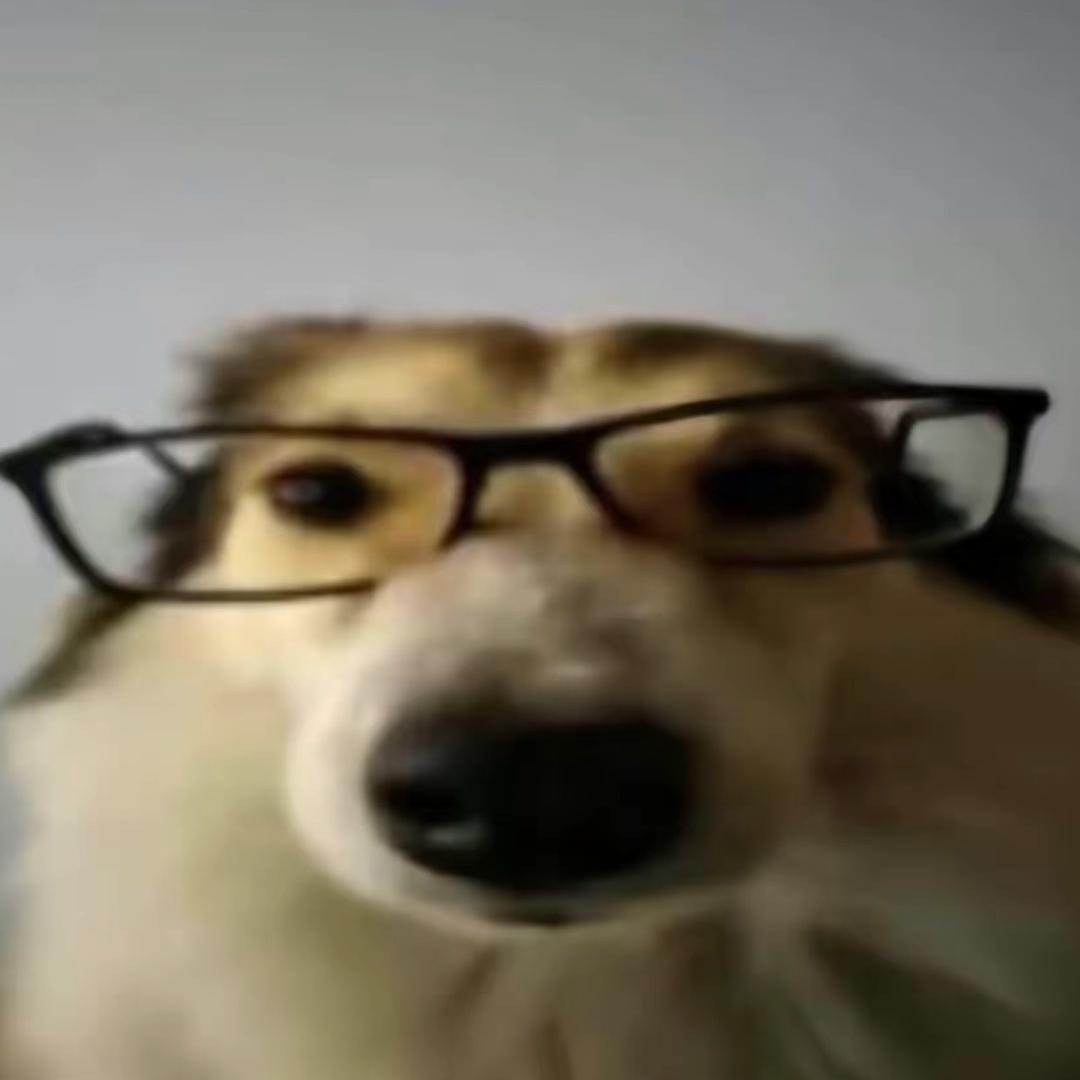拎着侯