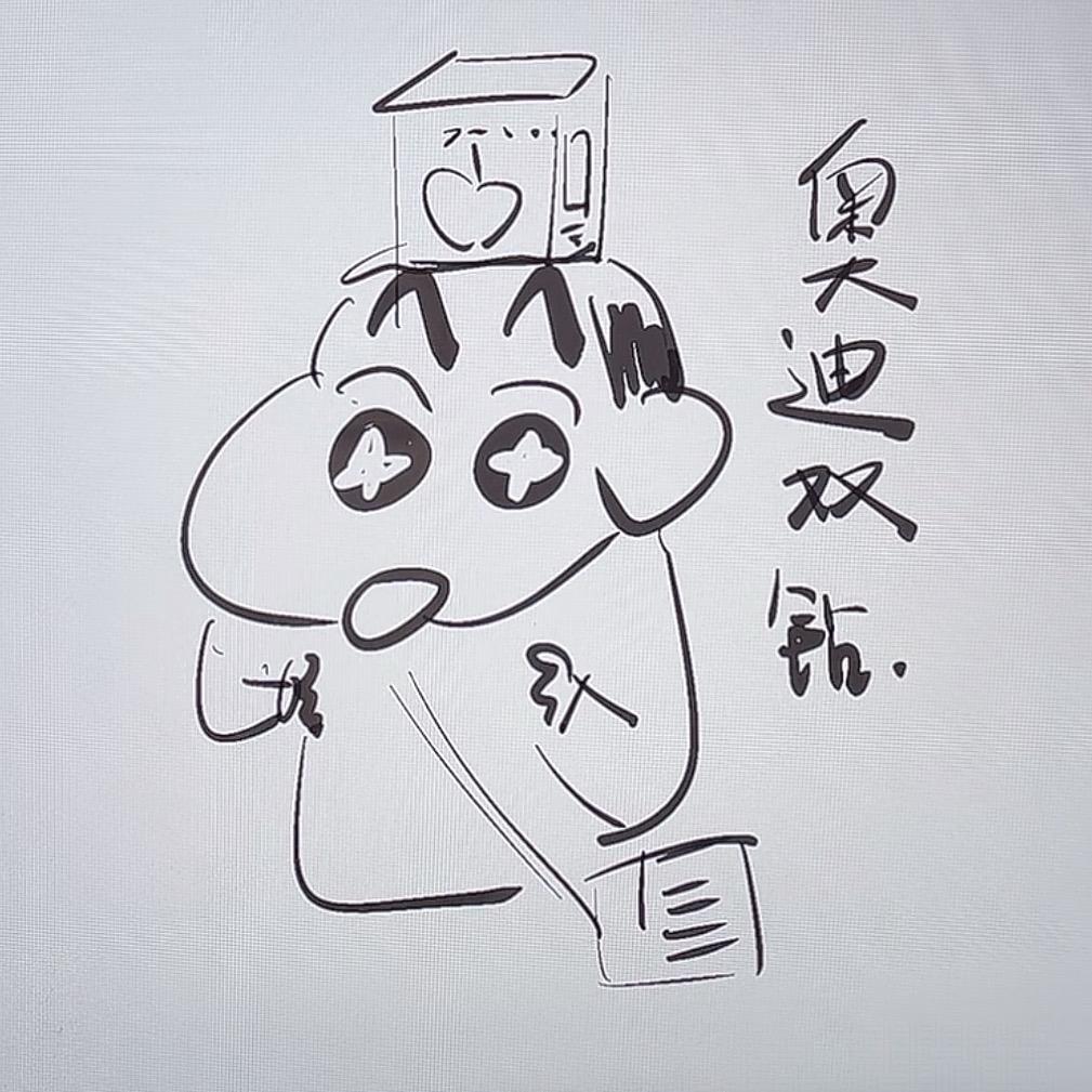 奥迪双钻