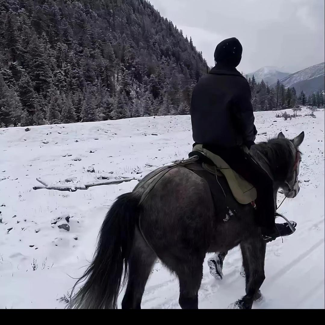 ZH正在努力