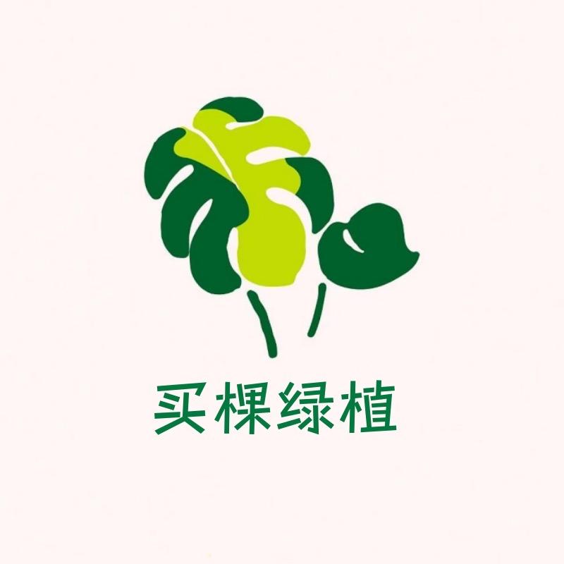 买棵绿植