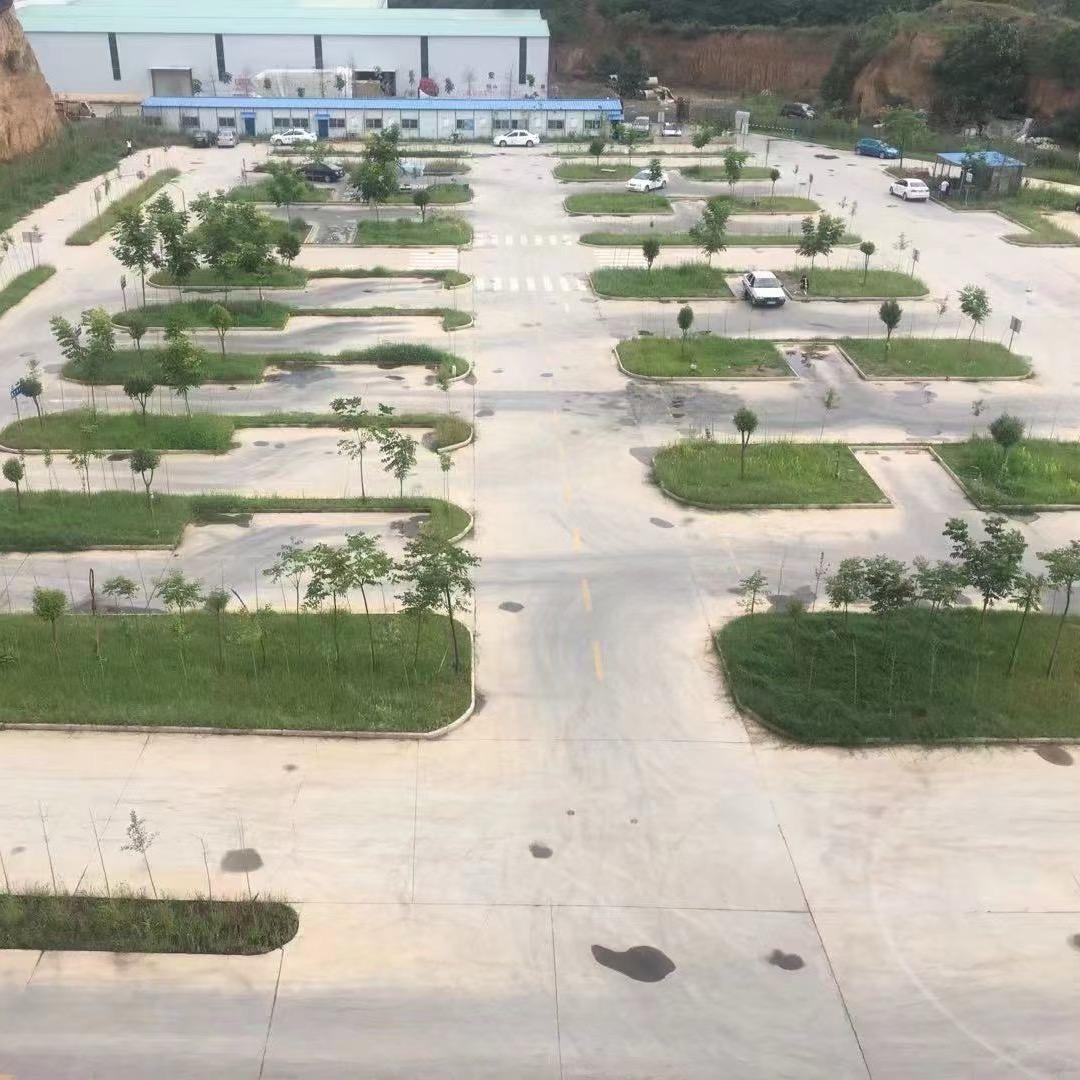无坚不摧