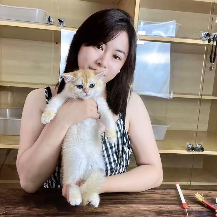 常猫猫