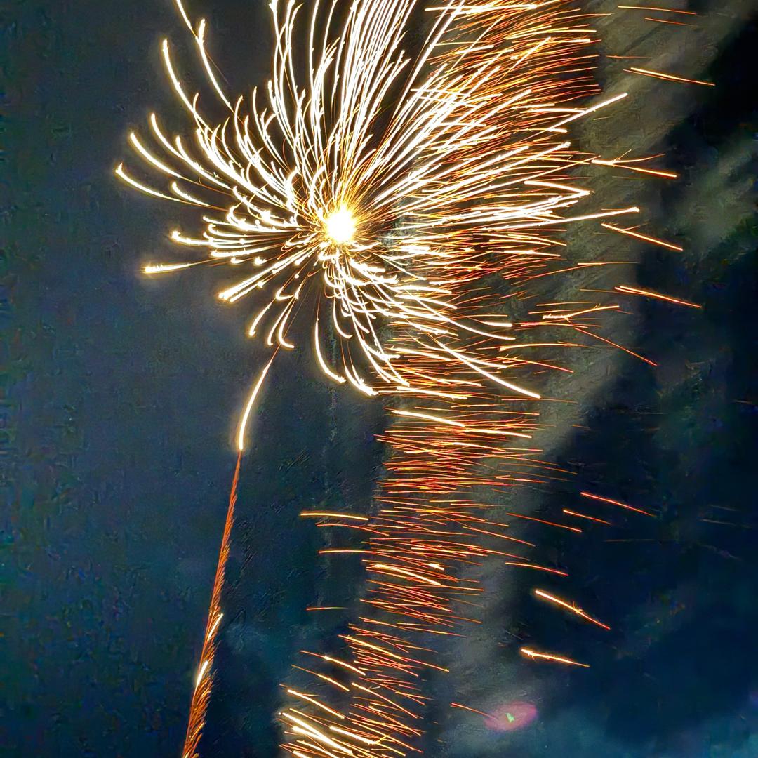 菜鸡也在努力活着