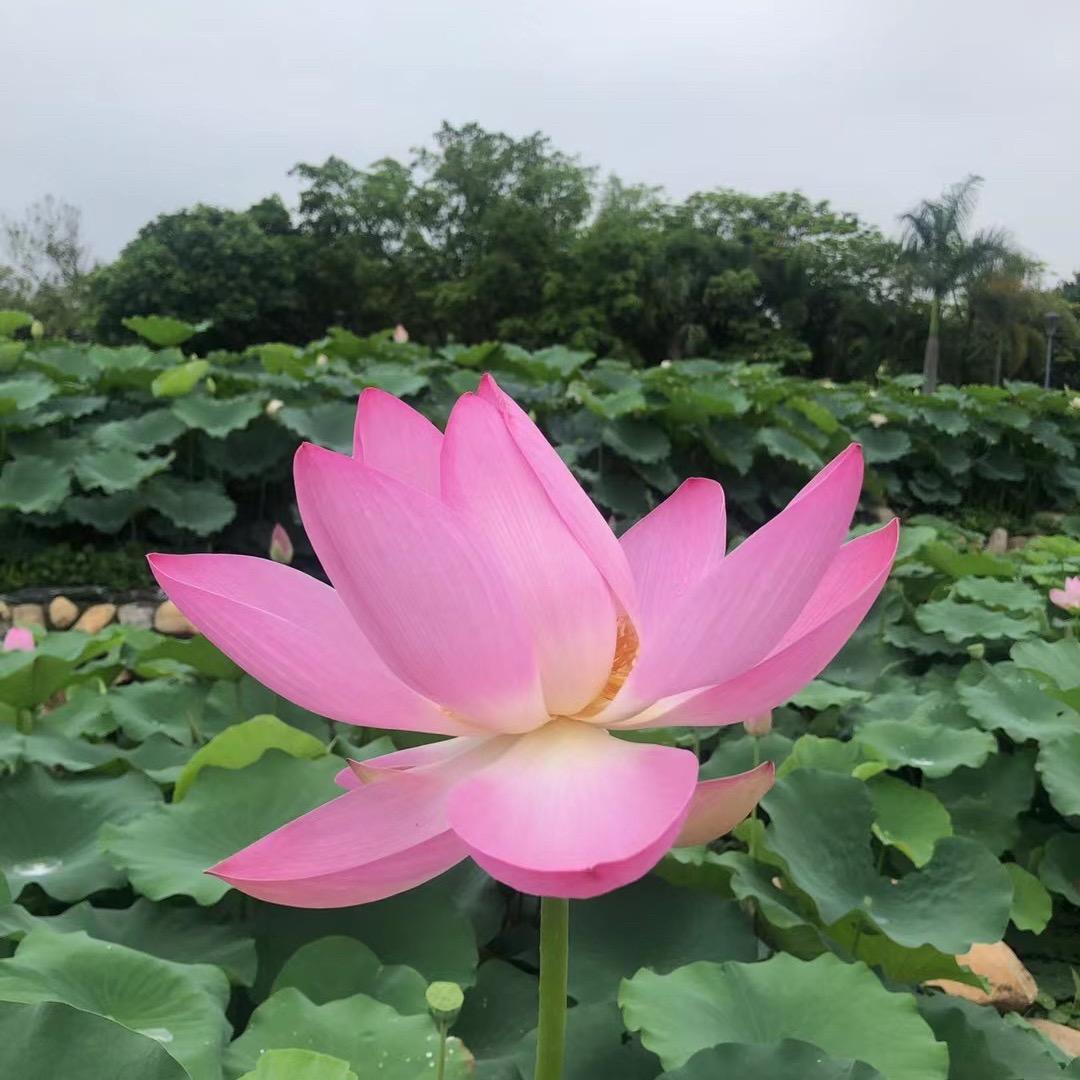 潮男爱分享❤️