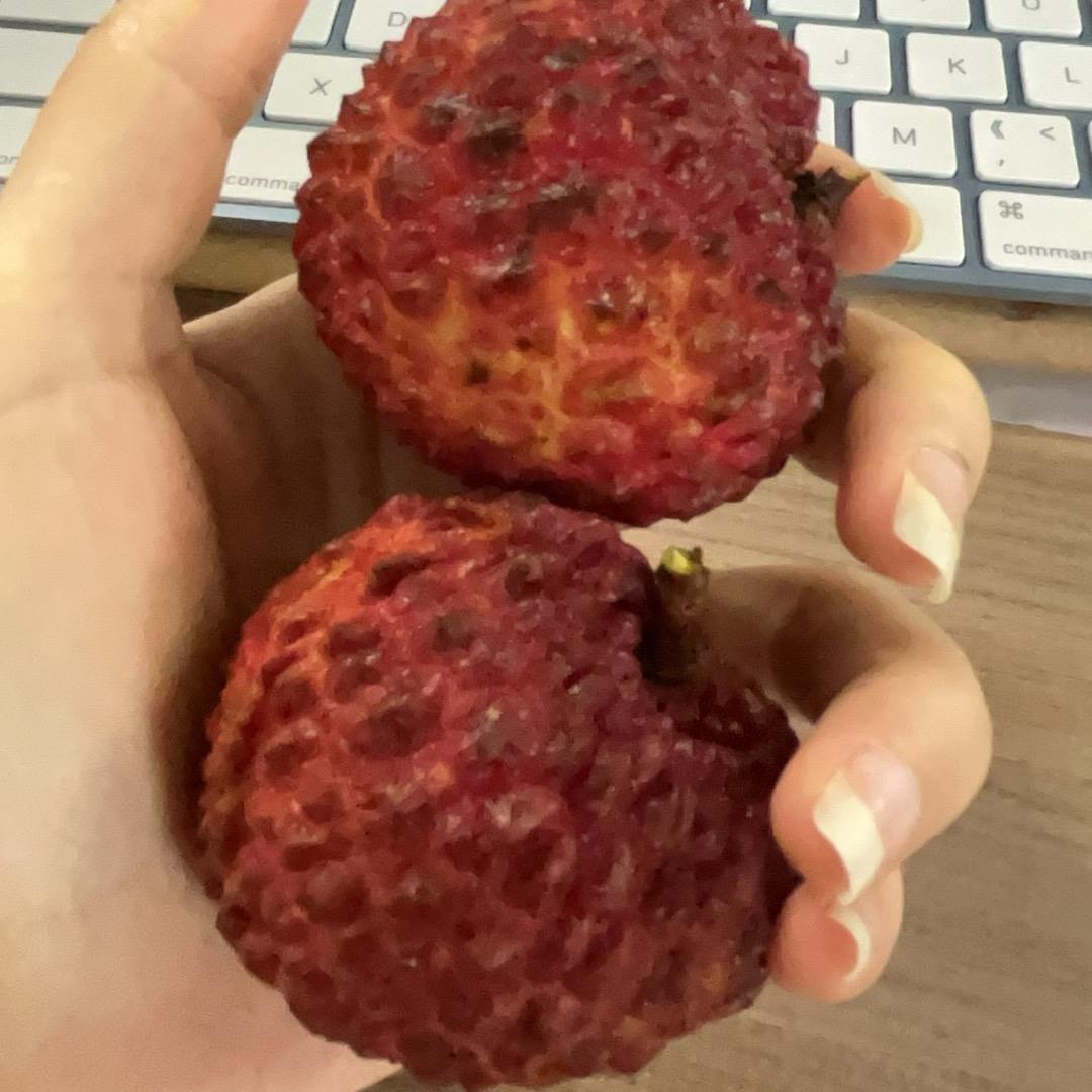 荔枝肉