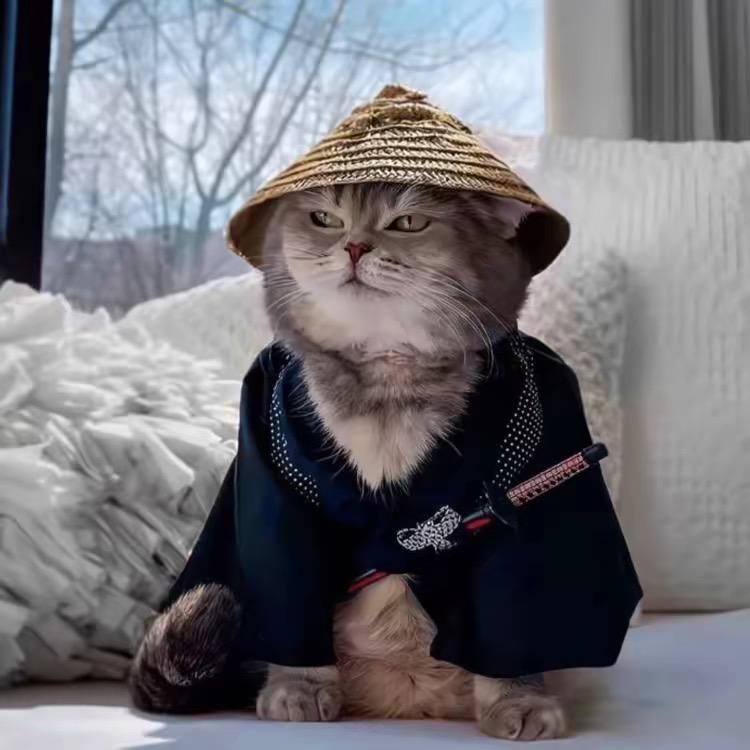 海南权志龙