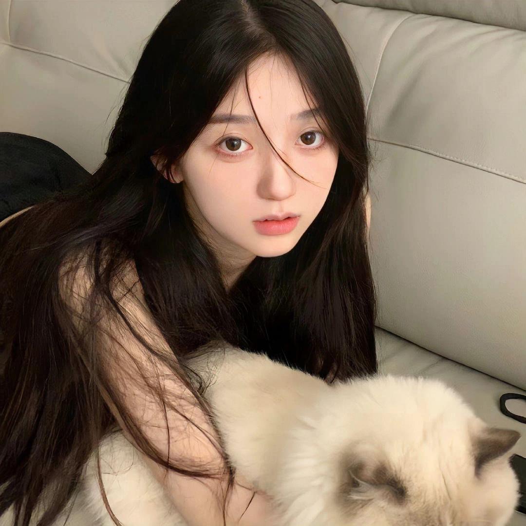 小猫瑶